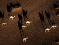 Fotos Dakar 2023 sexta etapa (35)