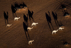 Fotos Dakar 2023 sexta etapa (35)