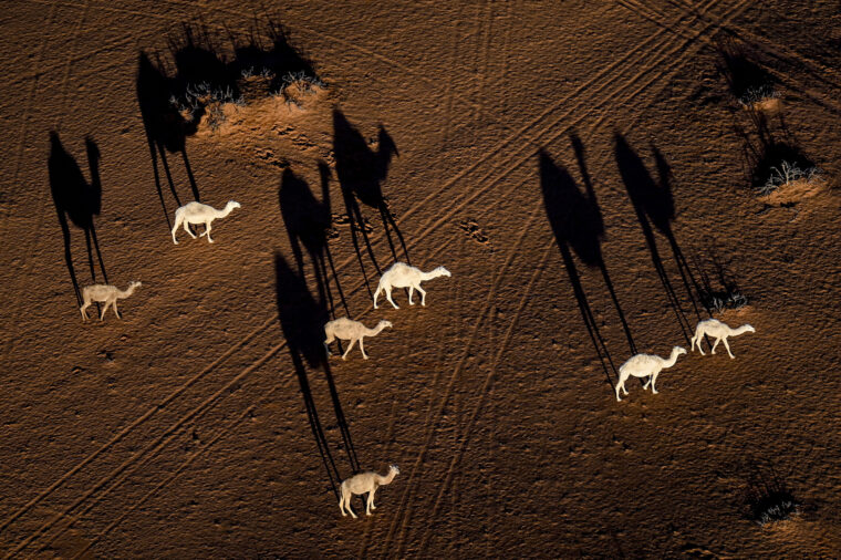 Fotos-Dakar-2023-sexta-etapa (35)