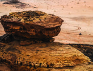 Fotos Dakar 2023 sexta etapa (8)