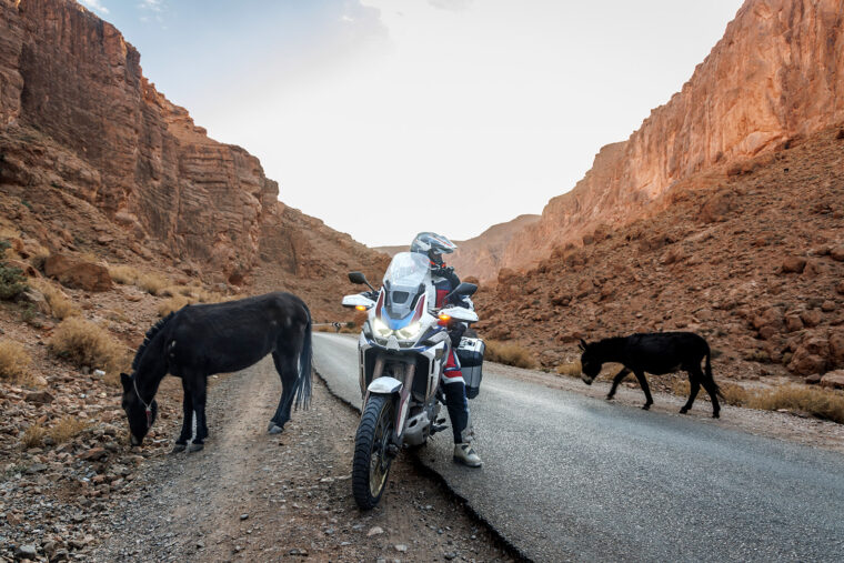 MBKWeb_Honda_Africa_Twin_Marruecos_2023 - 28