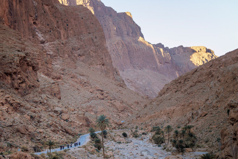 MBKWeb_Honda_Africa_Twin_Marruecos_2023 - 9