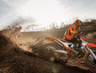 KTM 300 SX 350 SX F 2024 1