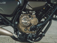 QJ MOTOR SRV 125 202339