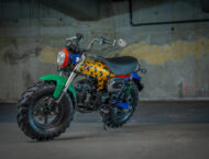 Honda Dax Driving Me Mad 5