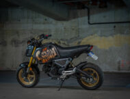 Honda MSX125 Lets Grom 7