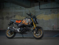 Honda MSX125 Lets Grom 9