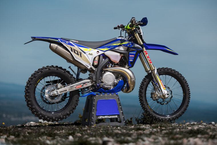 Sherco 250 SE Factory Zach Pichon Replica 2024 28
