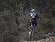 Sherco 250 SE Factory Zach Pichon Replica 2024 6