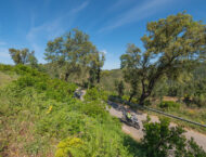 puntapunta 2023 bmw mbk22