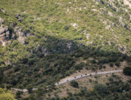 puntapunta 2023 bmw mbk39