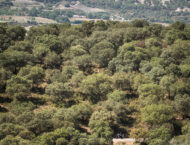 puntapunta 2023 bmw mbk57