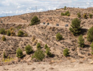 puntapunta 2023 bmw mbk78