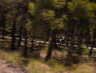 puntapunta 2023 bmw mbk82