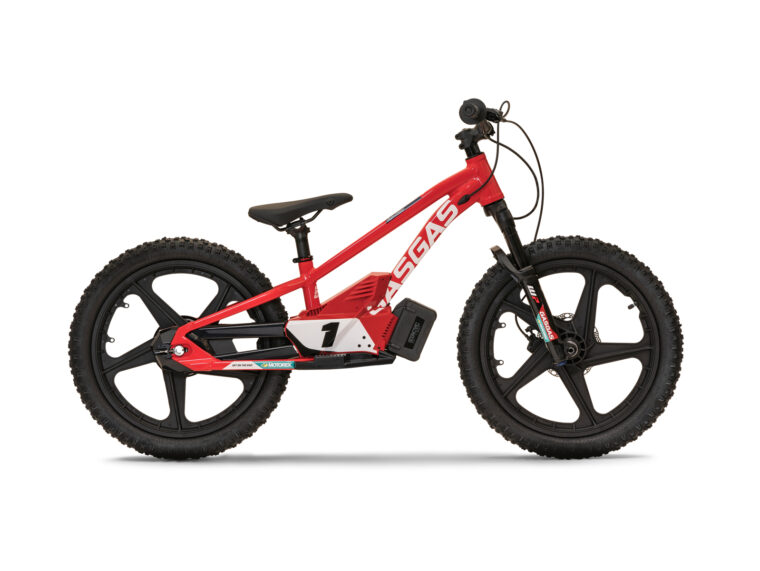 GASGAS MC E 1.20 (3)