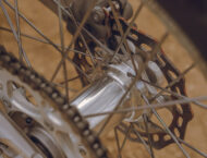 GasGas MC 250 2024 20 GasGas MC 250 2024 19