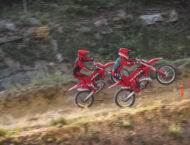 GasGas MC 250 2024 13 GasGas MC 250 2024 35