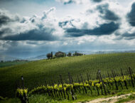 Harley Davidson RALLY EUROPEO 20246