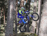 Sherco 250 300 SEF Factory 2024 accion15