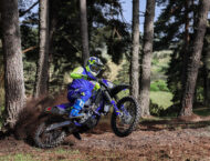 Sherco 250 300 SEF Factory 2024 accion18