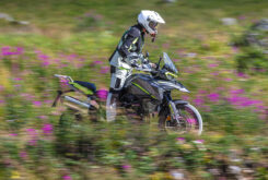 benelli trk 702 2023 presen25