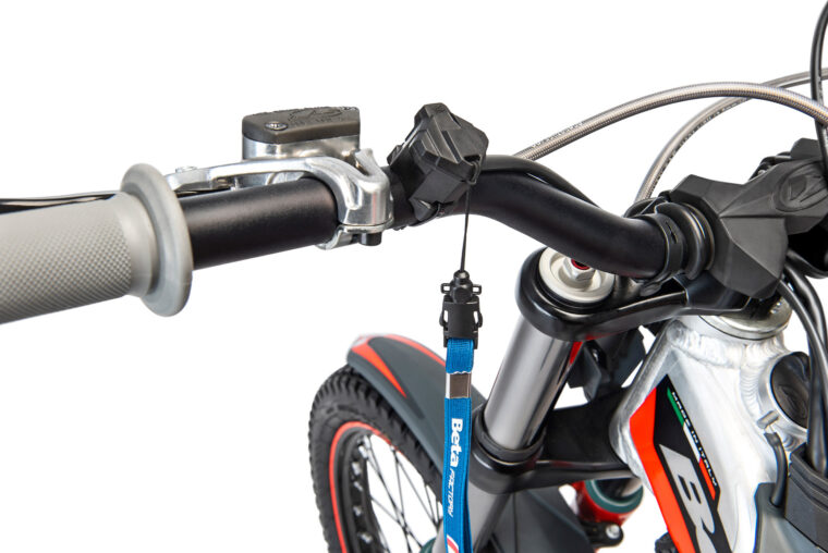 Beta-Evo-2024-detalles3