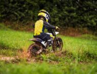 Husqvarna EE 2 2024 39