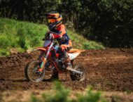 KTM SX Minicross 2024: Aún más parecidas a las motocross de adulto 52 KTM 50 SX Factory Edition 2024 28