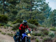 Suzuki V-Strom 800 Tech 2024 13 Suzuki V Strom 800 Tech 2024 155