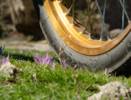 michelin anakee adventure mbk11