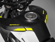 Benelli BKX 300 S 2024 16