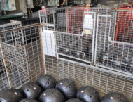 Nolan fabrica 2023 12