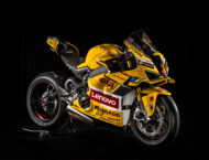 Ducati Panigale 2023 Replica: cinco ediciones limitadas de Bagnaia, Martín, Bezzecchi, Bautista y Bulega 6 ducati panigale replica 2024 (30)