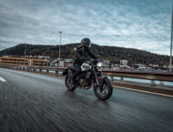 Husqvarna Vitpilen 401 2024 11