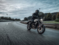 Husqvarna Vitpilen 401 2024 9