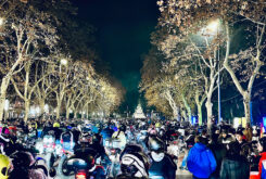 Pingüinos 2024 concluye sin récord de asistencia 1 concentracion pinguinos 202410