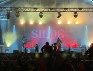 concentracion pinguinos 20242