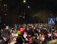 concentracion pinguinos 20246