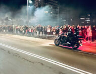 concentracion pinguinos 20247