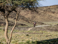 Fotos Dakar 2024: las mejores imágenes de la tercera etapa 38 fotos dakar 2024 tercera etapa (26)
