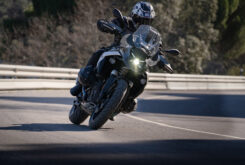 michelin anakee road 202413