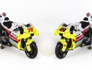 Todas las motos de MotoGP 2024: equipos, decoraciones y pilotos 55 pertamina enduro vr46 motogp 2024 bezzecchi diggia (19)