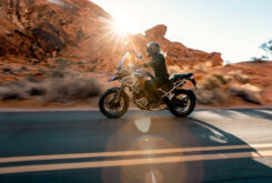 Triumph Tiger 1200 GT Pro 2024 24