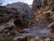 bmw f 900 gs toprak razgatlioglu (19)