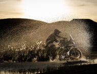 Mitt TT 555 Gold Edition 2025 accion14