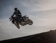 Mitt TT 555 Gold Edition 2025 accion16