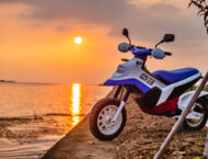 Felo FW 03 2024 accion6