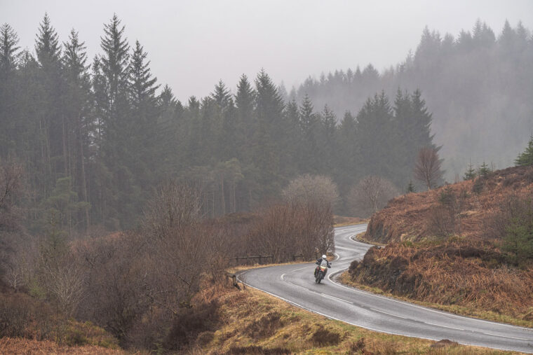 triumph-tiger-1200-gt-rally-pro-explorer-2024 - 16