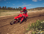 GASGAS MC 250 300 2025 accion35