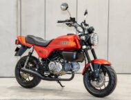 Honda Monkey 125 Bol Dor 11